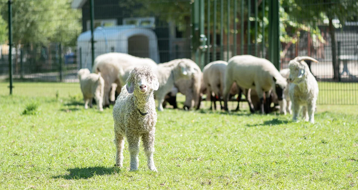 Sfeer proeven op Hernesseroord