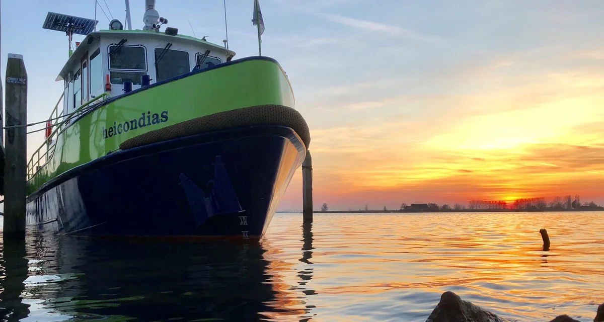 Ga op expeditie op het Haringvliet!