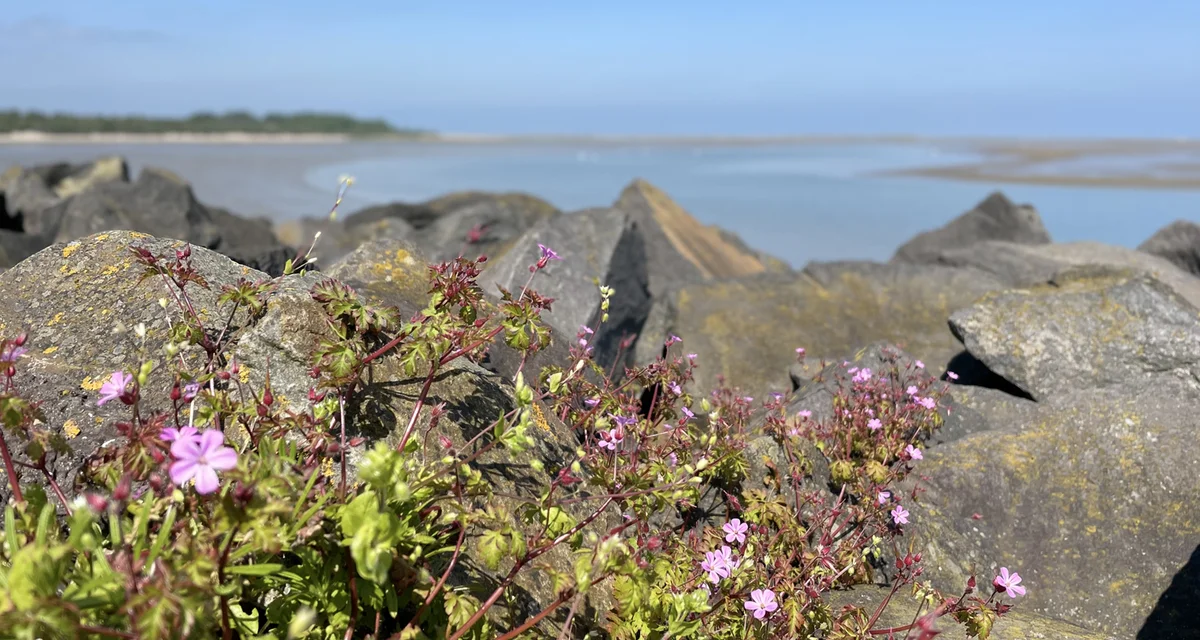 Eilanders maken elke dag hun eiland schoner en mooier