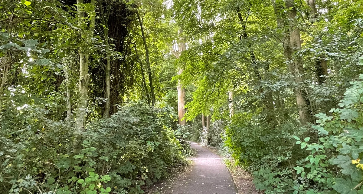 Avontuurlijk groen op Hernesseroord