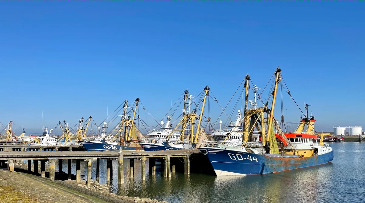 Stellendamse vissershaven